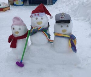 Подробнее о статье «Зимняя сказка на участке»