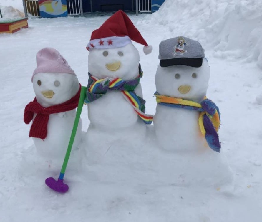 Вы сейчас просматриваете «Зимняя сказка на участке»